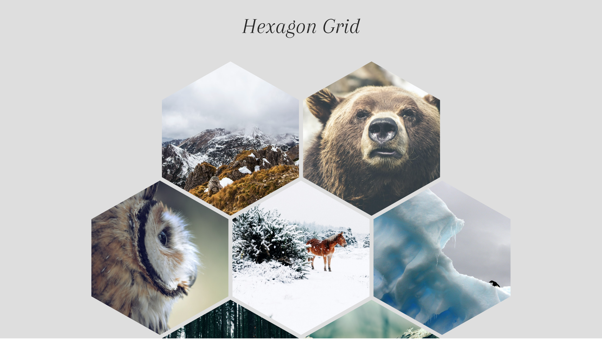 CSS Image Hexagon Grid