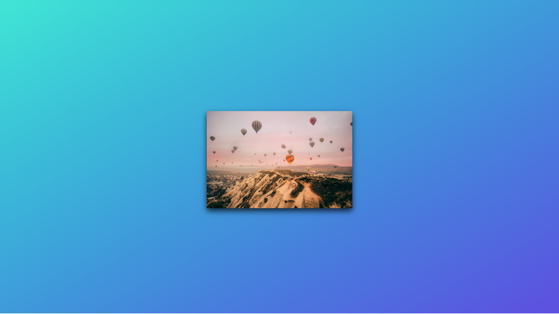 How To Hover Zoom On An Image With CSS Scale AppCode