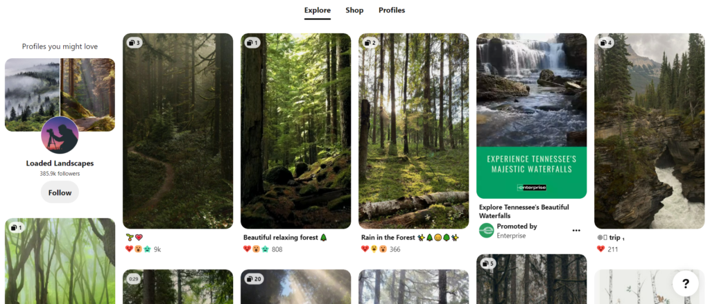 Pinterest Style Grid Showing Forests