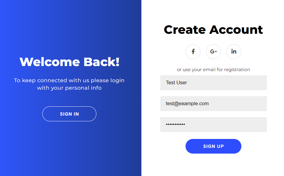 Form With CSS Styles