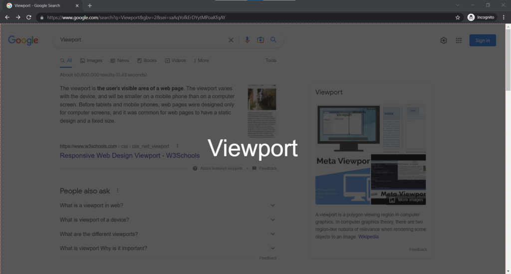 Viewport Within a Web Browser